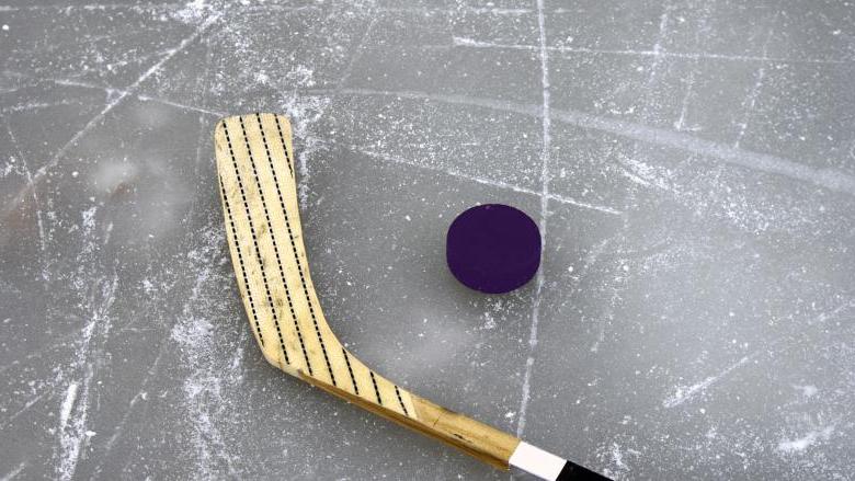 Purple Puck Night